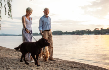 Shot of a happy senior couple walking with their dogs by the river.